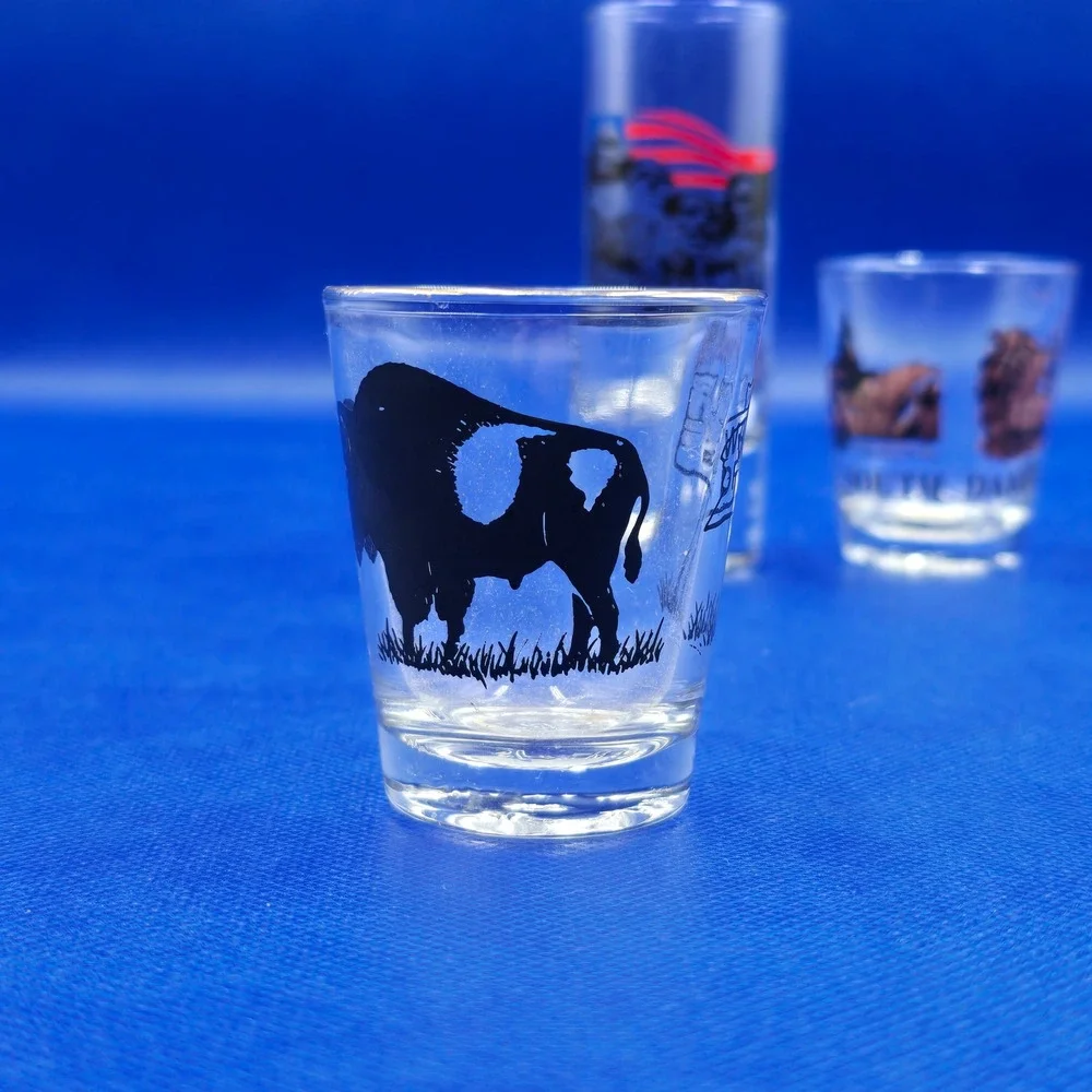 South Dakota Souvenir 3 Shot Glass Set Mount Rushmore Wall Drug Bison